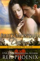 Substance B Cover of Brie’s Montana Dreams