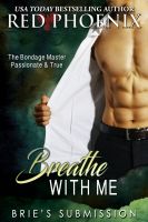 Substance B Cover of Breathe with Me (Brie’s Submission #12)